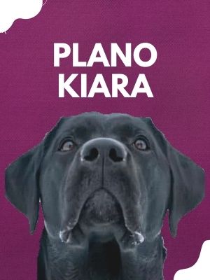 plano kiara