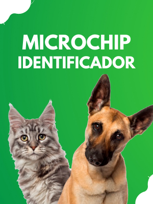 microchip-cachorro-gato-pet