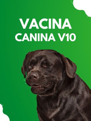 vacina-canina-v10