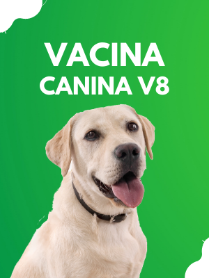 vacina-canina-v8