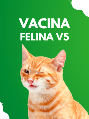 vacina-felina-v5