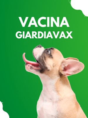 vacina-giardiavax